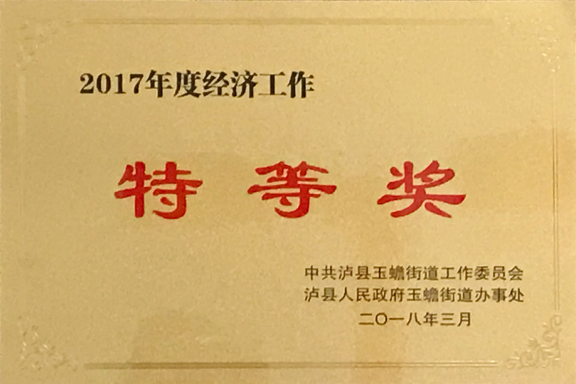 2017年度經濟工作特等獎